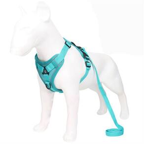 Cão pequeno respirável Arre aproveita coleira andando cão de coleira vest-s