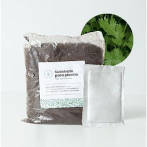 Pacote Terra 350g + Sache Germinação | Nutrientes | Hort.