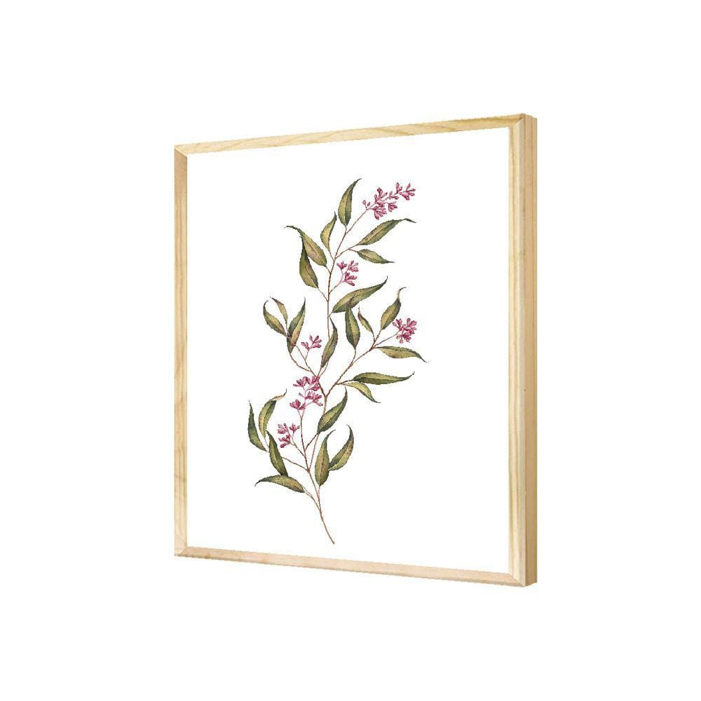 Quadro Ramos Flor Natureza Planta Rosa Jardim