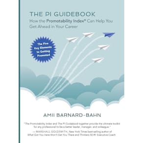 The PI Guidebook