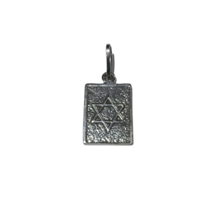 Pingente Placa Estrela de Davi de Prata