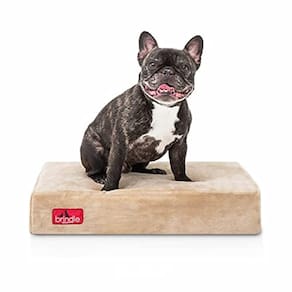 Cama viscoelástica de design para animais de estimação, impermeável, capa removível e lavável, ortopédica de 4 polegadas, com alívio articular