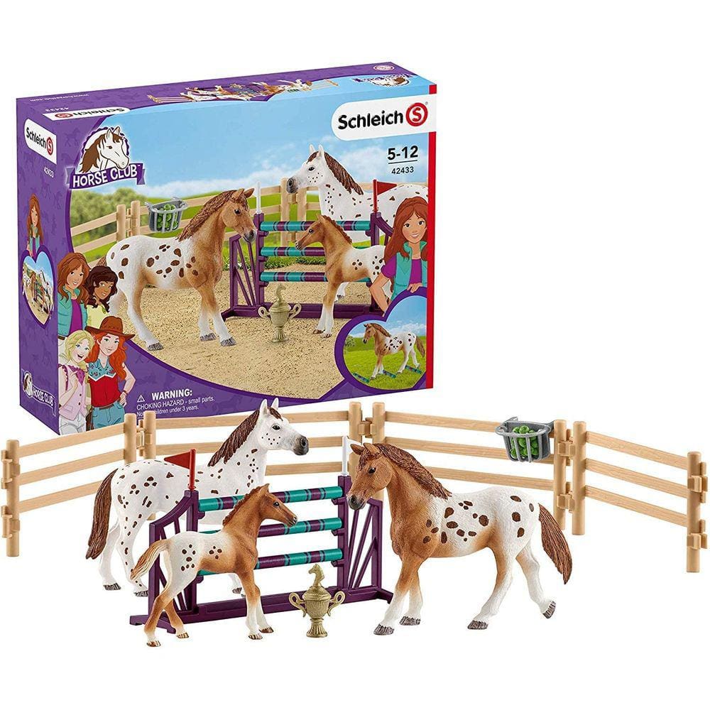 Conjunto de brinquedos de treinamento de cavalos da Lisa, 11 peças, 5 a 12 anos
