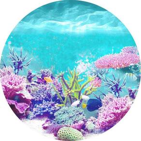 Painel Redondo 3D Sublimado Fundo Do Mar Frd-324