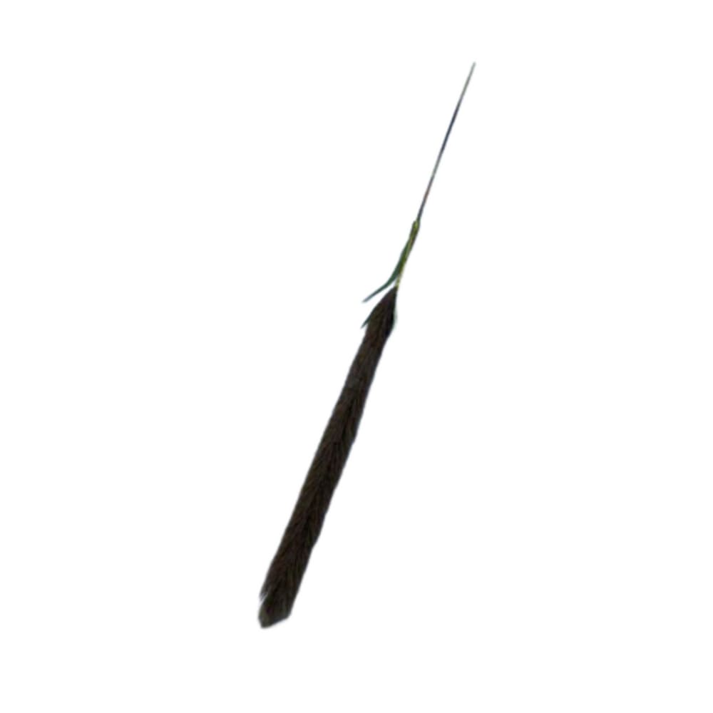 Haste De Trigo Cor Ferrugem 104Cm Tecido - Acasa