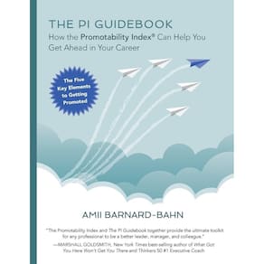 The PI Guidebook