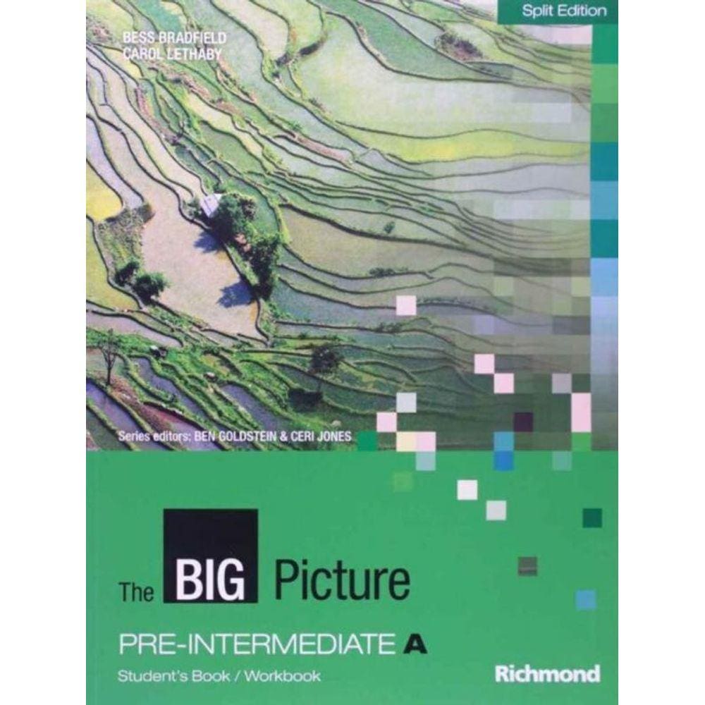 The Big Picture Pre Intermediate A