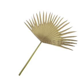 Haste Palmeira Leque Cor Marrom Claro 77Cm Eva- A Casa