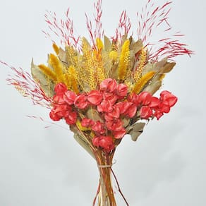 Buquê de flores desidratadas bouganville vermelho
