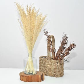 Arranjo de flores desidratadas capim branco + vaso de vidro