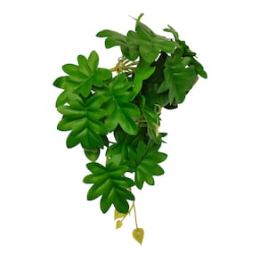 Enfeite Lester Planta Pendente PV 03
