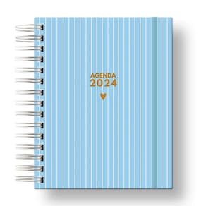 Agenda 2024: Sua Organização Pessoal Azul Listras