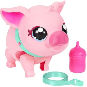 Meu porco de estimação: Porquinho