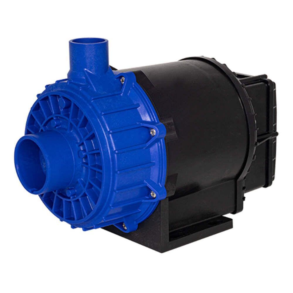 Bomba para Hidromassagem de Piscina Syllent 2CV 220V