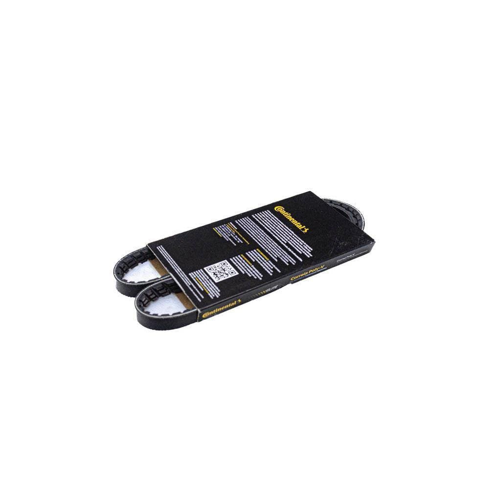 Correia Poly V - Continental 3PK0835