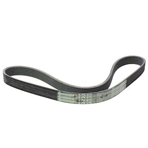 Correia - Continental - 6PK0875