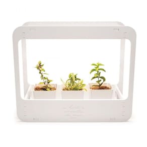 Plantario Indoor Com Led Horta Da Casa