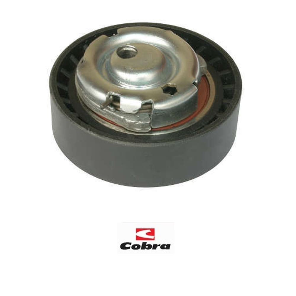 Tensor Correia Dentada Clio Express Kangoo Logan Sandero Symbol 1.6 6027Lh