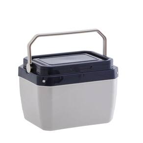 Caixa Térmica Cooler Cinza 6 Litros com Alça Paramount