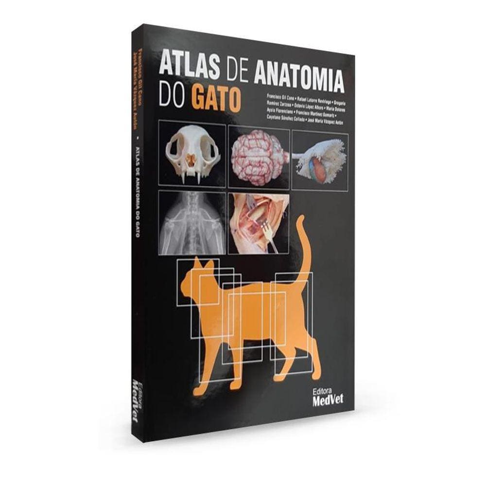 Atlas De Anatomia Do Gato