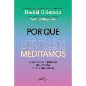 Por Que Meditamos: A Ciencia E A Pratica Da Clareza E Da Compaixao