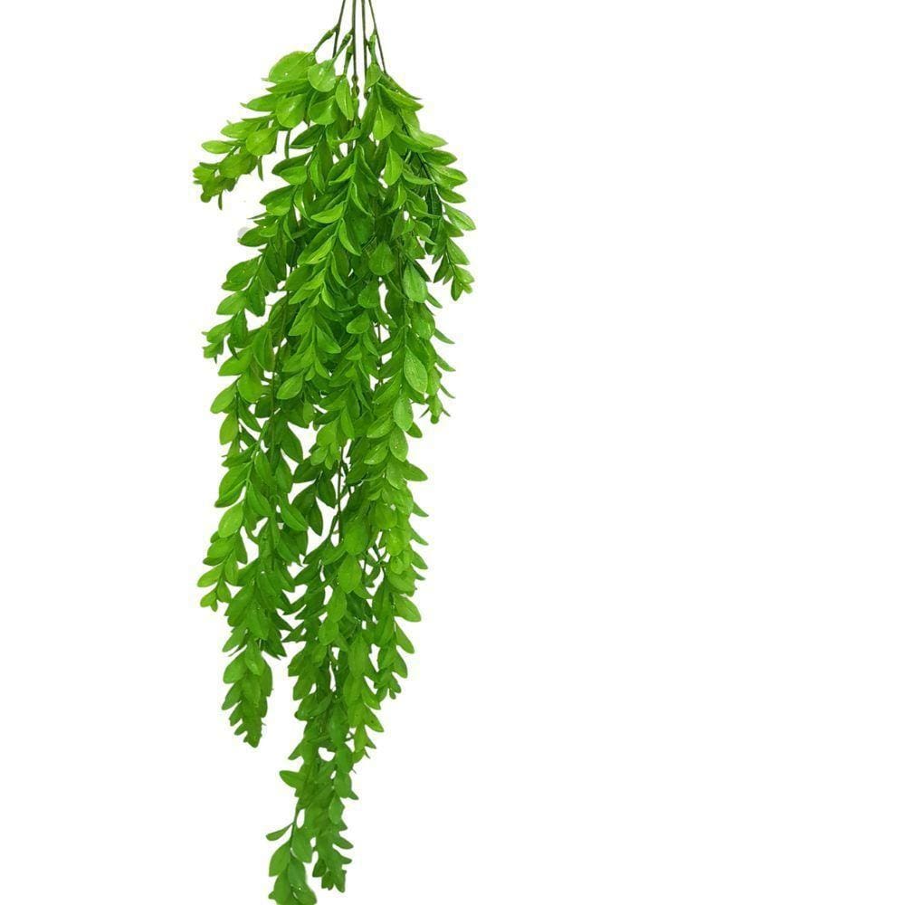 Buque De Complemento Verde Verde