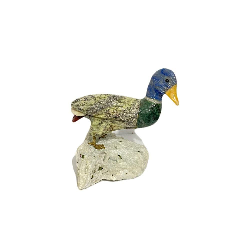 Ave - Minerais Variados e Base de Albita | P10