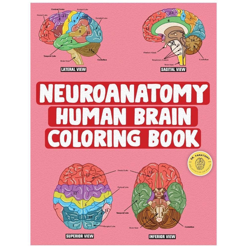 Neuroanatomy Human Brain Coloring Book