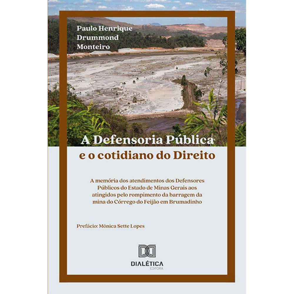 A Defensoria Pública e o cotidiano do Direito - A memória dos atendimentos dos Defensores Públicos do Estado de Minas Gerais aos atingidos pelo rompi
