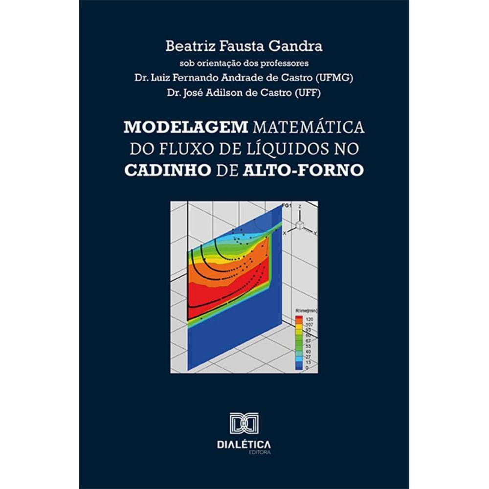 Modelagem matemática do fluxo de líquidos no cadinho de alto-forno