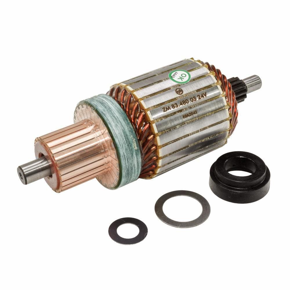 Induzido do Motor de Partida M100R Agrale 13000E Daily Ford Cargo 1618 Volkswagen 16180 16210 17210 Volvo VM17 VM23 24V