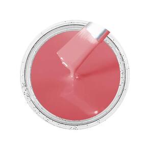 Cor Sólida Rosa Ag - Ral3017 50G
