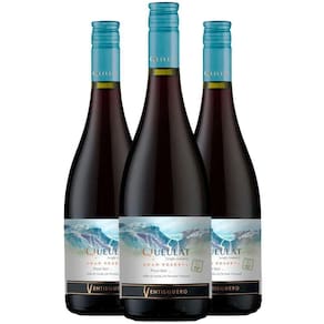 Vinho Tinto Ventisquero Queulat Gran Reserva Pinot Noir 750ml (3 Und)