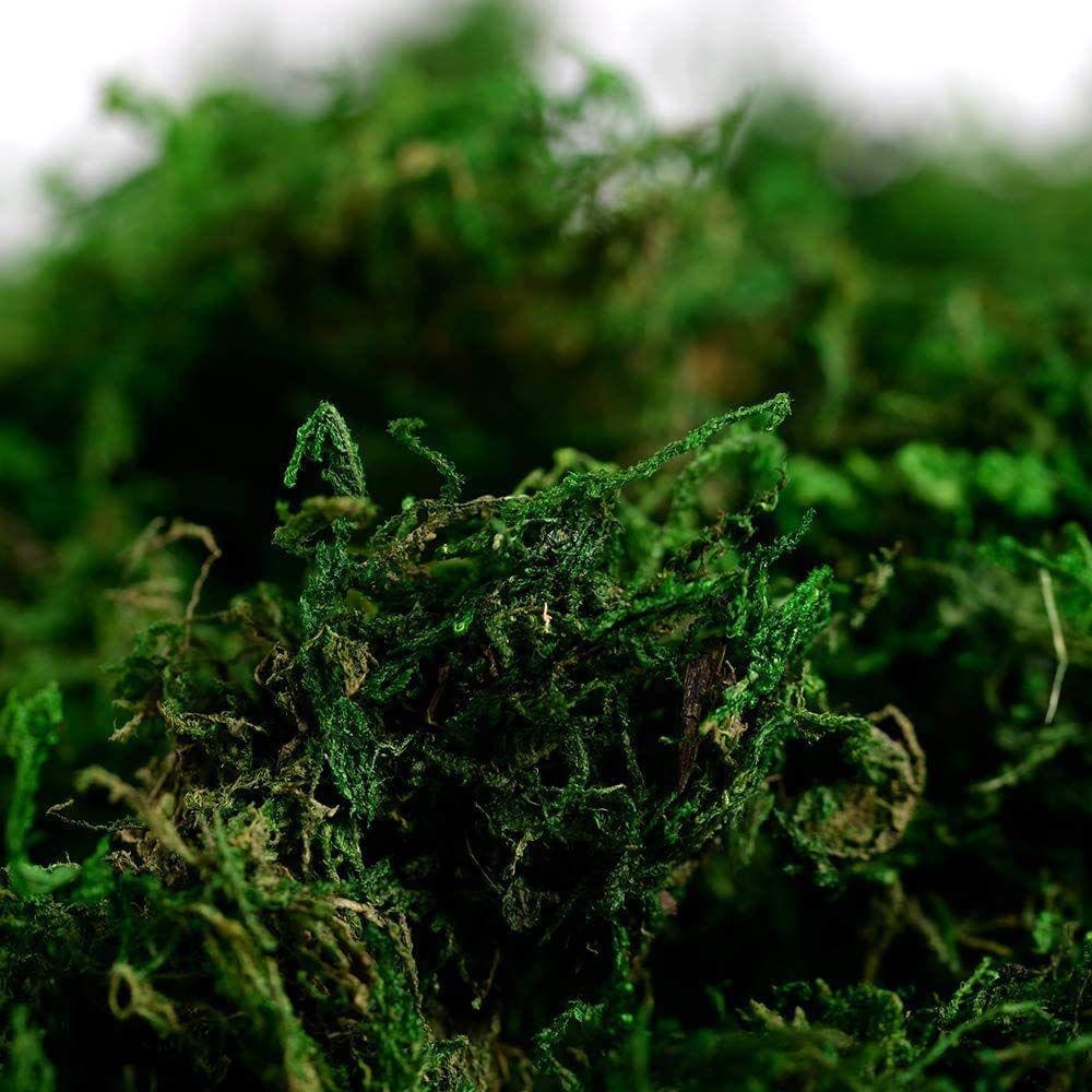Musgo artificial para artesanato Farmoo Fake Moss for Potte