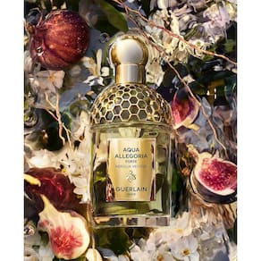 Perfume  Aqua Allegoria Forte Nerolia Vetiver EDP