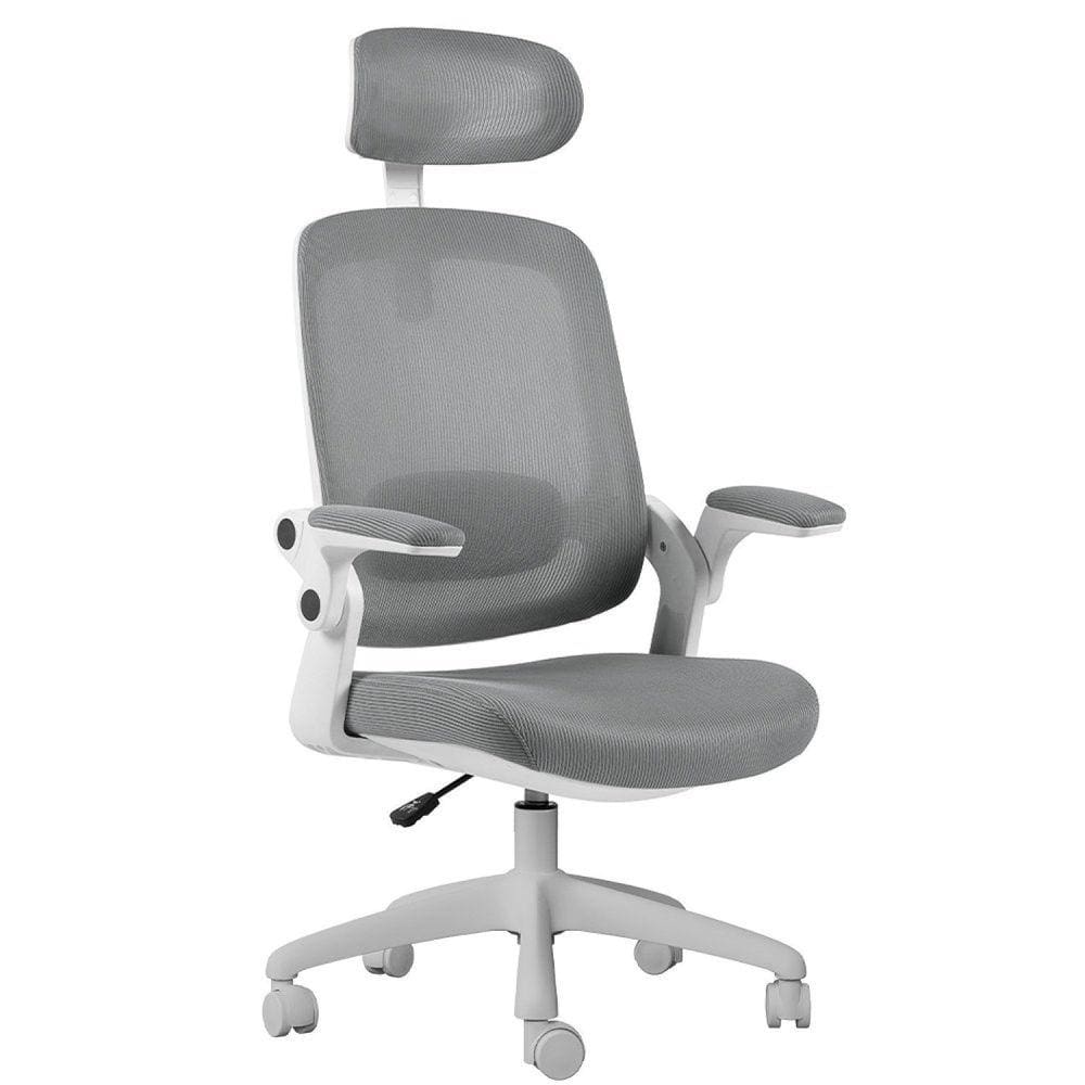 Cadeira de Escritorio Presidente NR17 Elements Astra Branco/Cinza