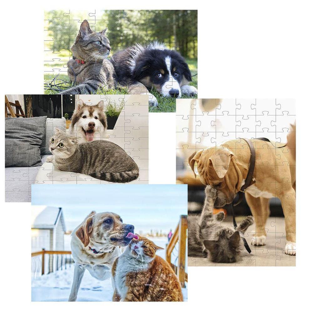 Kit 2 Quebra-Cabeças Atividades Mente Cães E Gatos 40 Peças