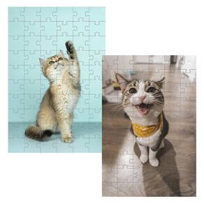 Kit 2 Quebra-Cabeças Cognitivos Gatinhos De 60 Peças