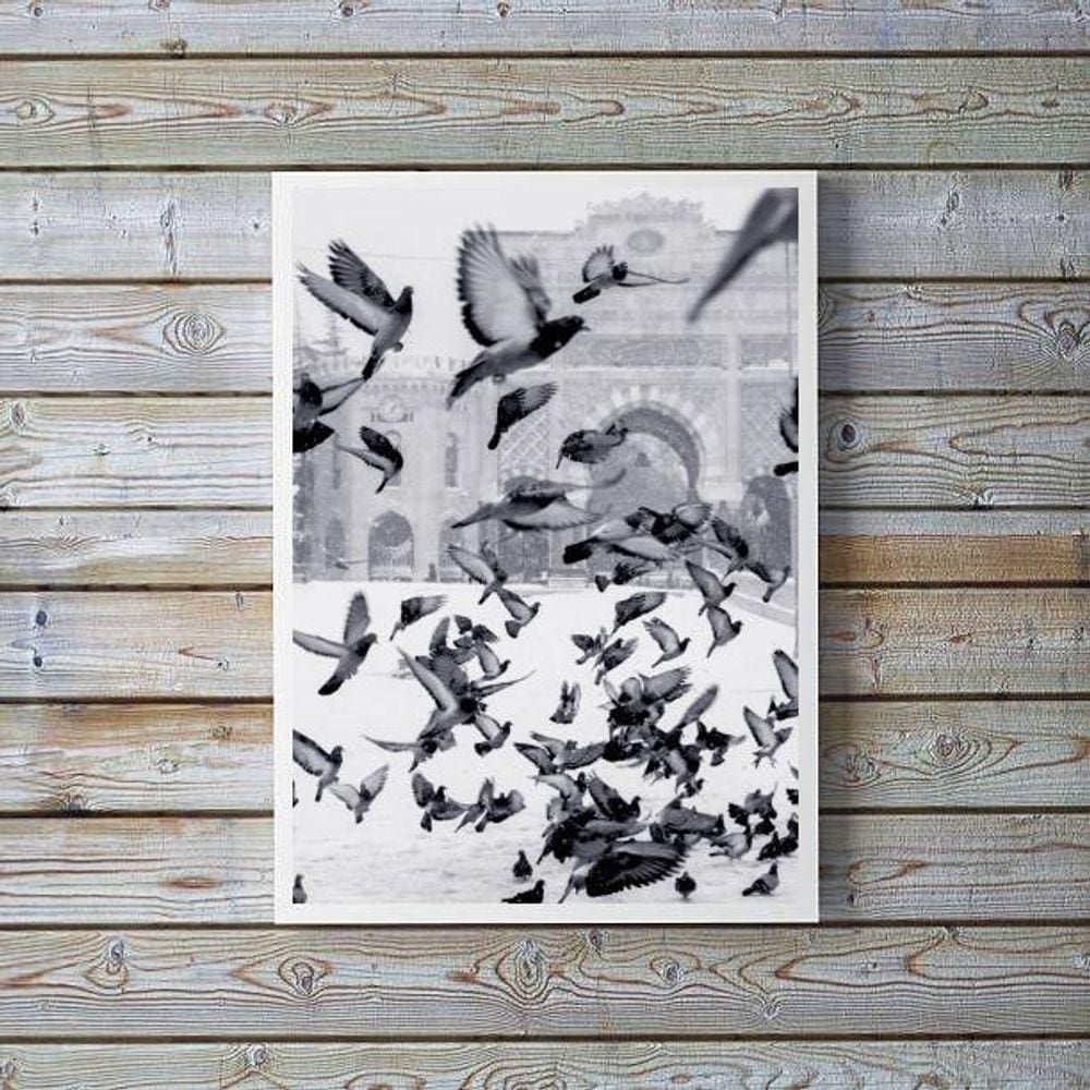 Quadro Decorativo Fotografia Pombos 24X18Cm