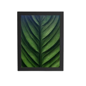 Quadro Folha Planta Natureza Verde Moldura Preta 60X40Cm
