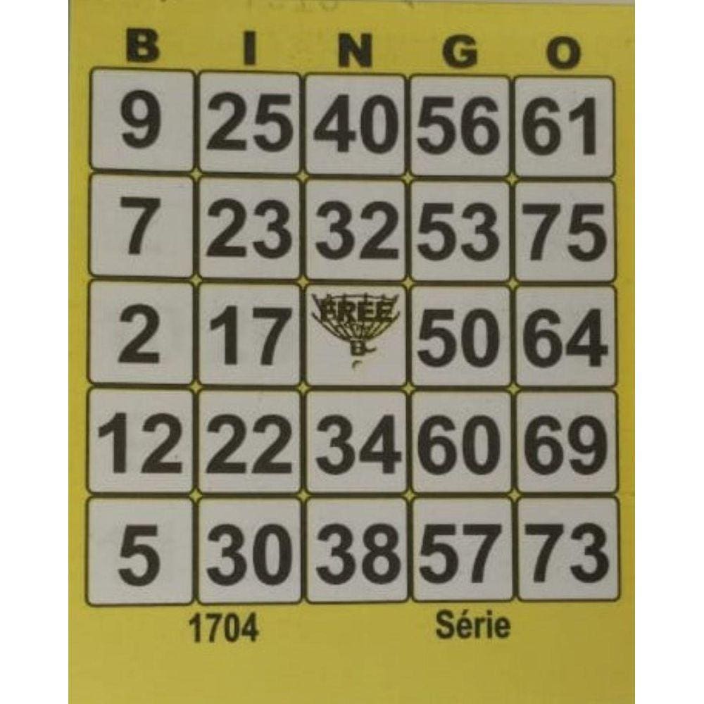 Cartela Bingo 3 Blocos 100 Folhas Total 300 Fls. 8 X 10Cm