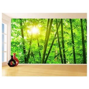 Papel De Parede 3D Floresta Tropical Bambu Luz 3,5M Xna226