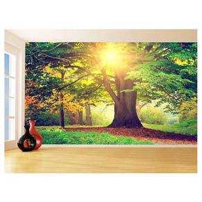 Papel De Parede 3D Floresta Tropical Árvore Luz 3,5M Xna229