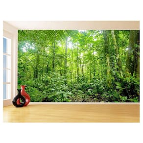 Papel De Parede Floresta Tropical Caminho Luz 3,5M Xna223