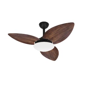 Ventilador Teto Preto 3 Pás Imbuia Potente Winds Ventax 220V
