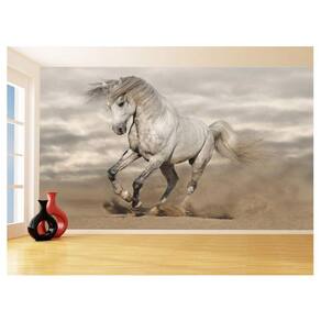 Papel De Parede Animais Cavalo Correndo Campo 3,5M Anm355
