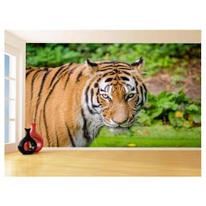 Papel De Parede 3D Animais Tigre Rosto Olhando 3,5M Anm557