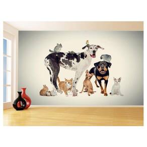 Papel De Parede 3D Animais Cão Gato Petshop 3,5M Anm413