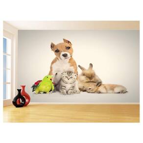 Papel De Parede Animais Cão Gato Papagaio Pet 3,5M Anm410