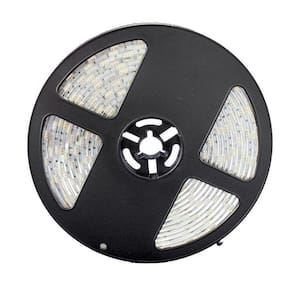 Fita LED 5050 Azul Rolo 5m com Fonte 12V 2A